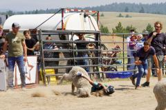 08.26_LCC-Roundup_116