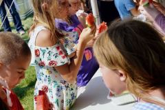 08.26_LCC-Roundup_253